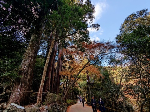 04.瀧道