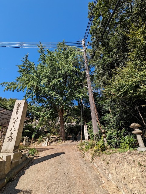 20.正面