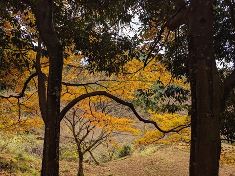 41.西の橋