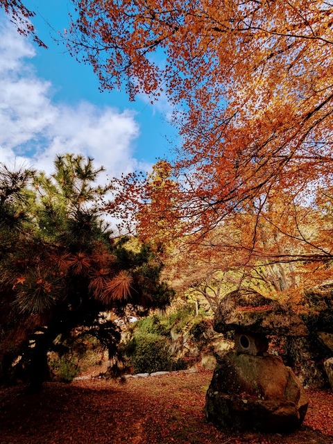 10.松と紅葉と灯篭
