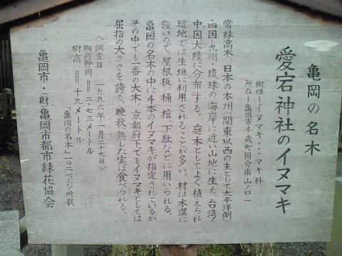 SBCA0035