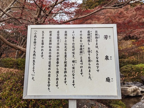 28.芳泉庭