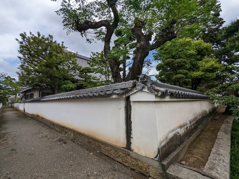 浄心院3