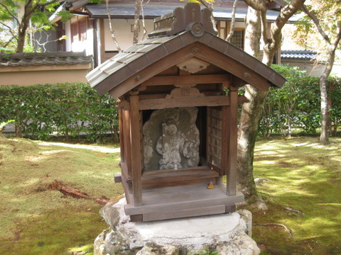 画像 236