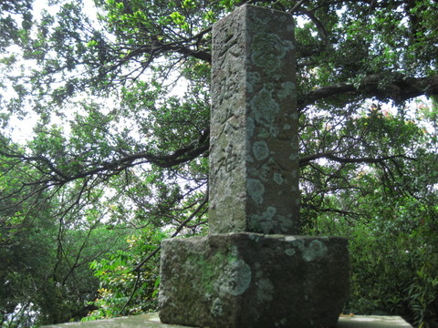 画像 009