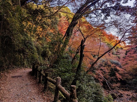 03.帰路3