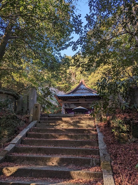 奥の院参道6