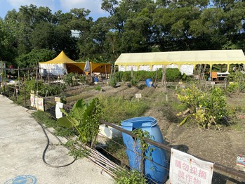 �ѥ��ʥåץ��