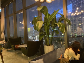 The Fine Wine Experience