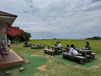 �г���ߥ�ߥ�����