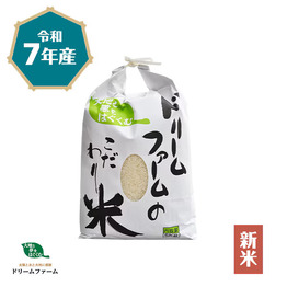 新米コシヒカリ