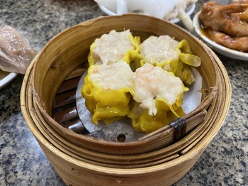 ��ü������ס�