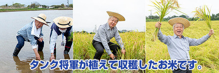 ���󥯾���