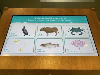 ������ϸ���