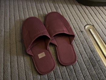 CX548�ե������ȥ��饹������å�