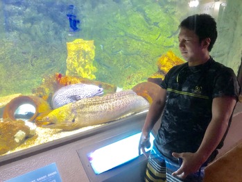 水族館