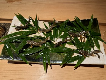 �����Ƥ���