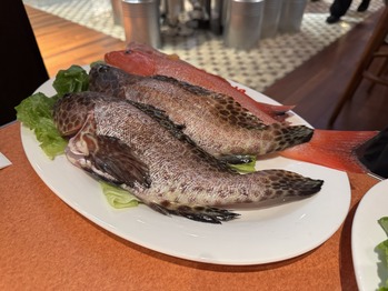 鮮魚