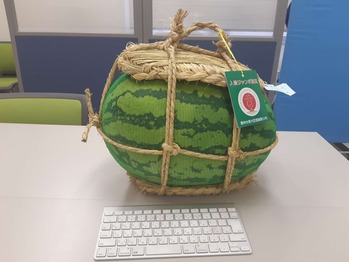 ジャンボスイカ