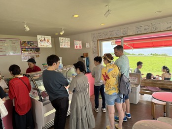 �г���ߥ�ߥ�����