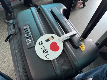 JAL029便