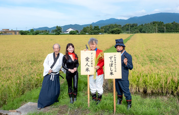 稲刈り