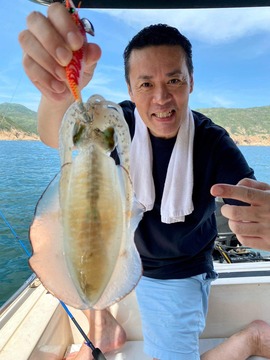 륶