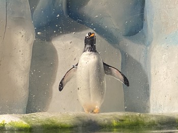 �ޥꥪ�åȥۥƥ륪�������ѡ���