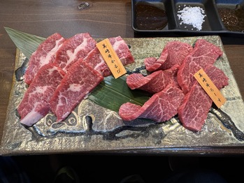 �������Ź