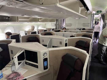 JAL029
