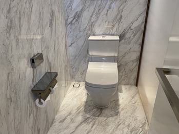 ���θ���ޥꥪ�åȥۥƥ�