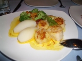 Scallops��