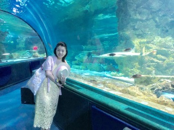 水族館