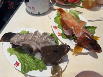 ��������������Ź