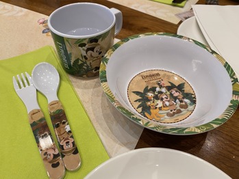 �ǥ����ˡ����������ץ����顼�������å�