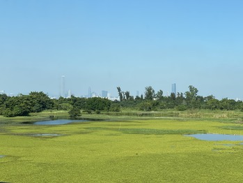 香港湿地公園