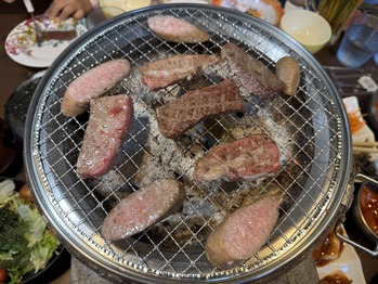 �������Ź