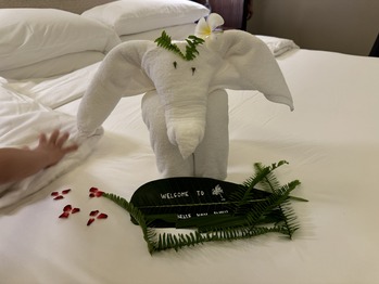 vana belle a luxury collection resort