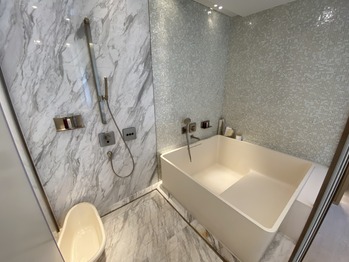 ���θ���ޥꥪ�åȥۥƥ�