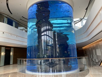 �ޥꥪ�åȥۥƥ륪�������ѡ���