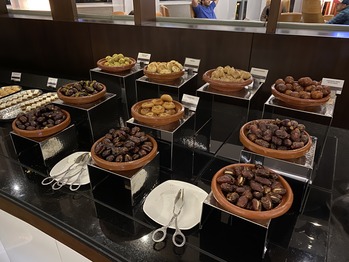 ���֥��ӥ����ץ�