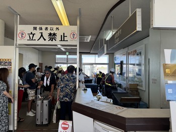 JAL3823