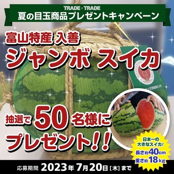 campaign_summer_jambo_2023