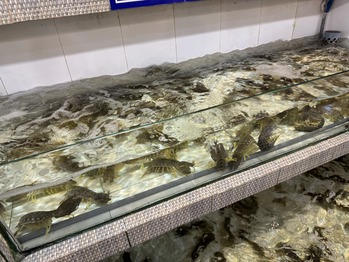 �� �ۥ�  Ra Khoi��