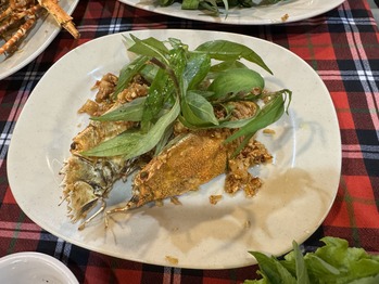 �� �ۥ�  Ra Khoi