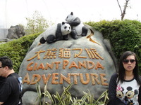 Giant Panda Adventure