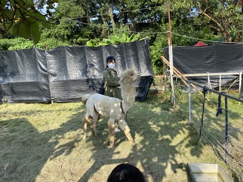 �ѥ��ʥåץ��