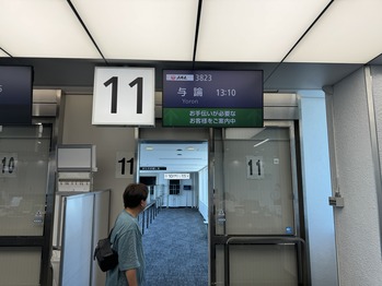 JAL3823