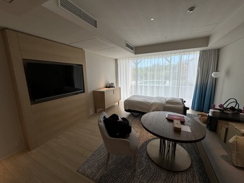 イラフ SUI ラグジュアリーコレクションホテル