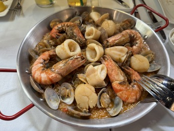 ¥¢¥ó¥È¥Ë¥ª